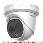 DS-2TD1228T-2/QA Bi-spectrum Thermography Network Turret Camera