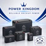 Power Kingdom batteries for security and backup power systems