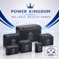 Power Kingdom batteries for security and backup power systems