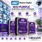 Western Digital WD Purple surveillance hard drives and video storage brand logo