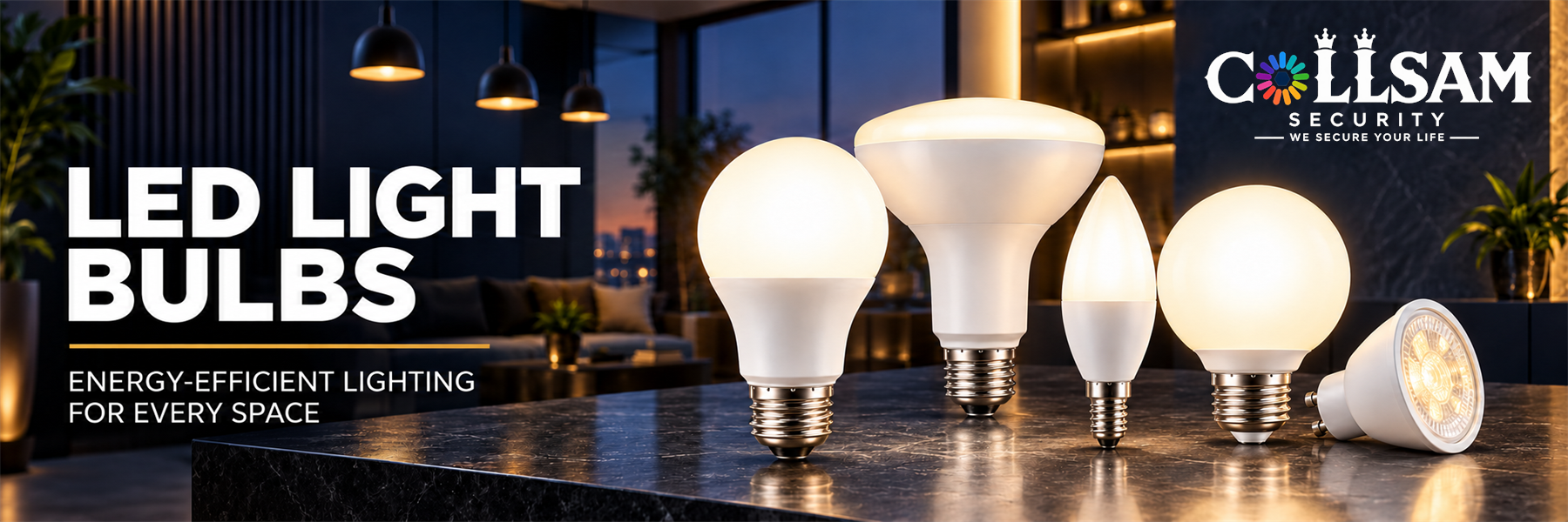 LED Light Bulbs